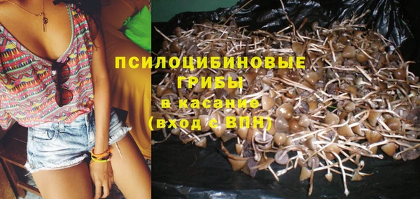винт Богородицк