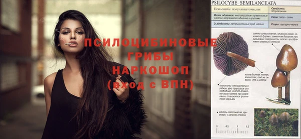 гидра Богданович