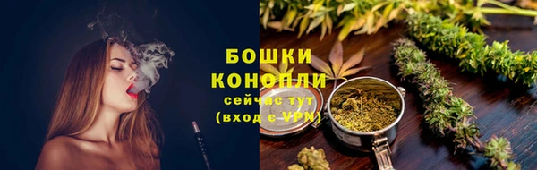 гидра Богданович
