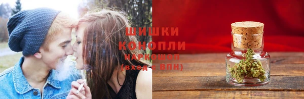 гидра Богданович