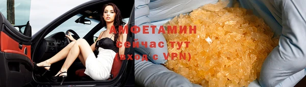 гидра Богданович