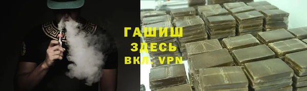 гидра Богданович