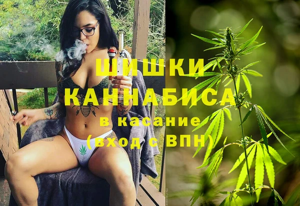 гидра Богданович