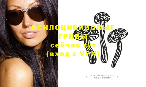 винт Богородицк