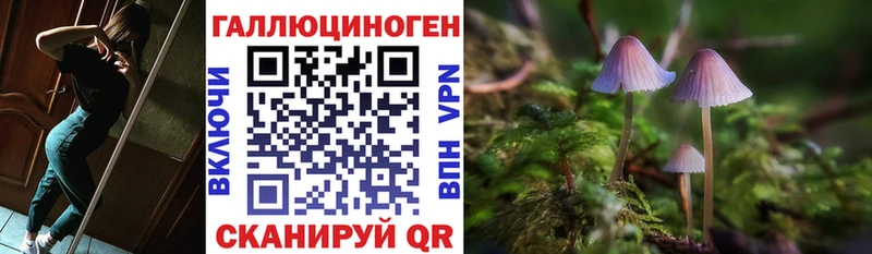 Галлюциногенные грибы мицелий  Тосно 